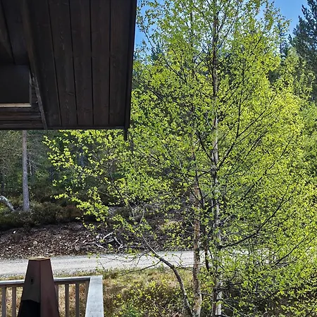 3 Bedroom Cozy In Semesterbostad *